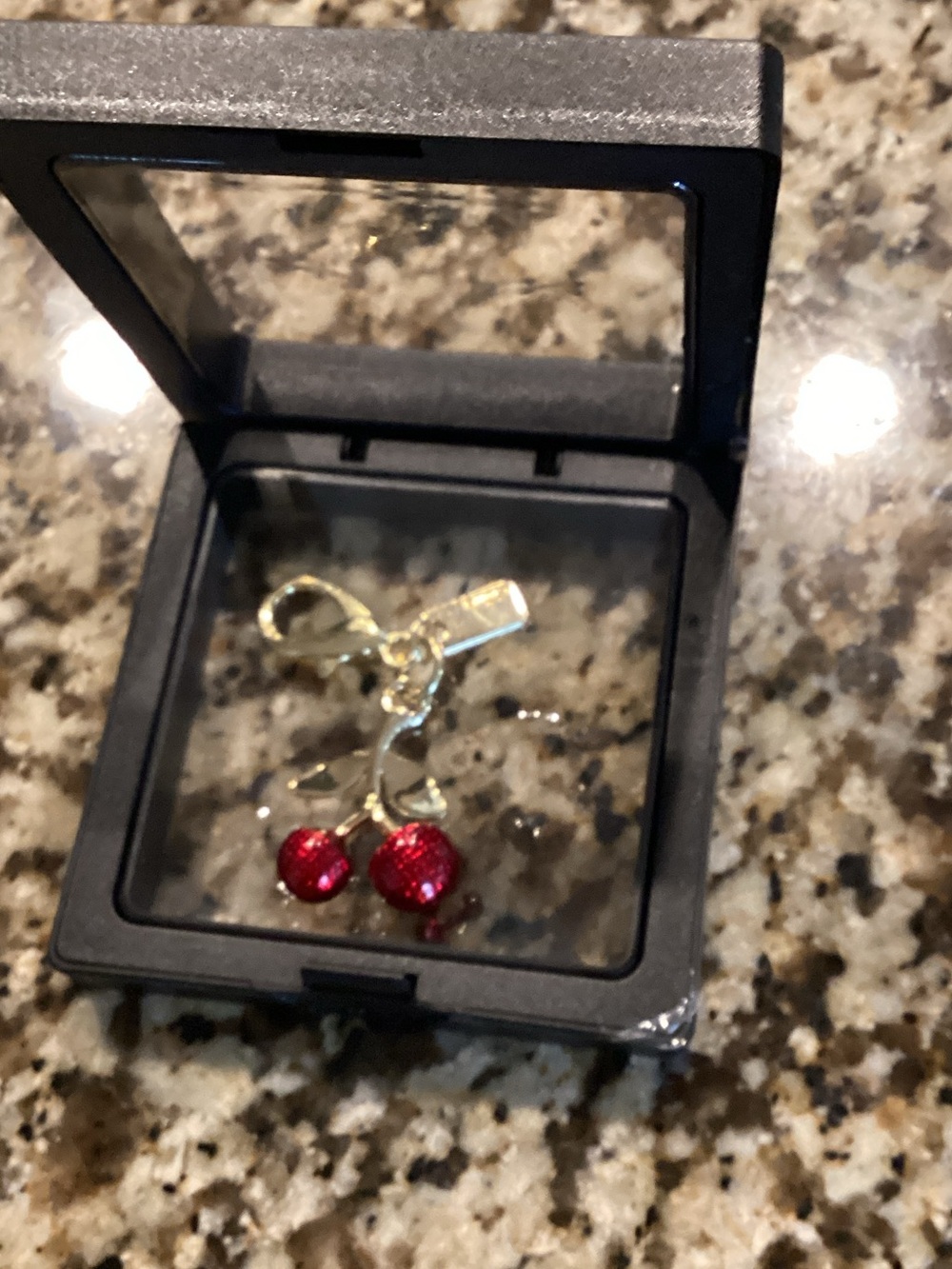 Coach Cherry BG Charm
